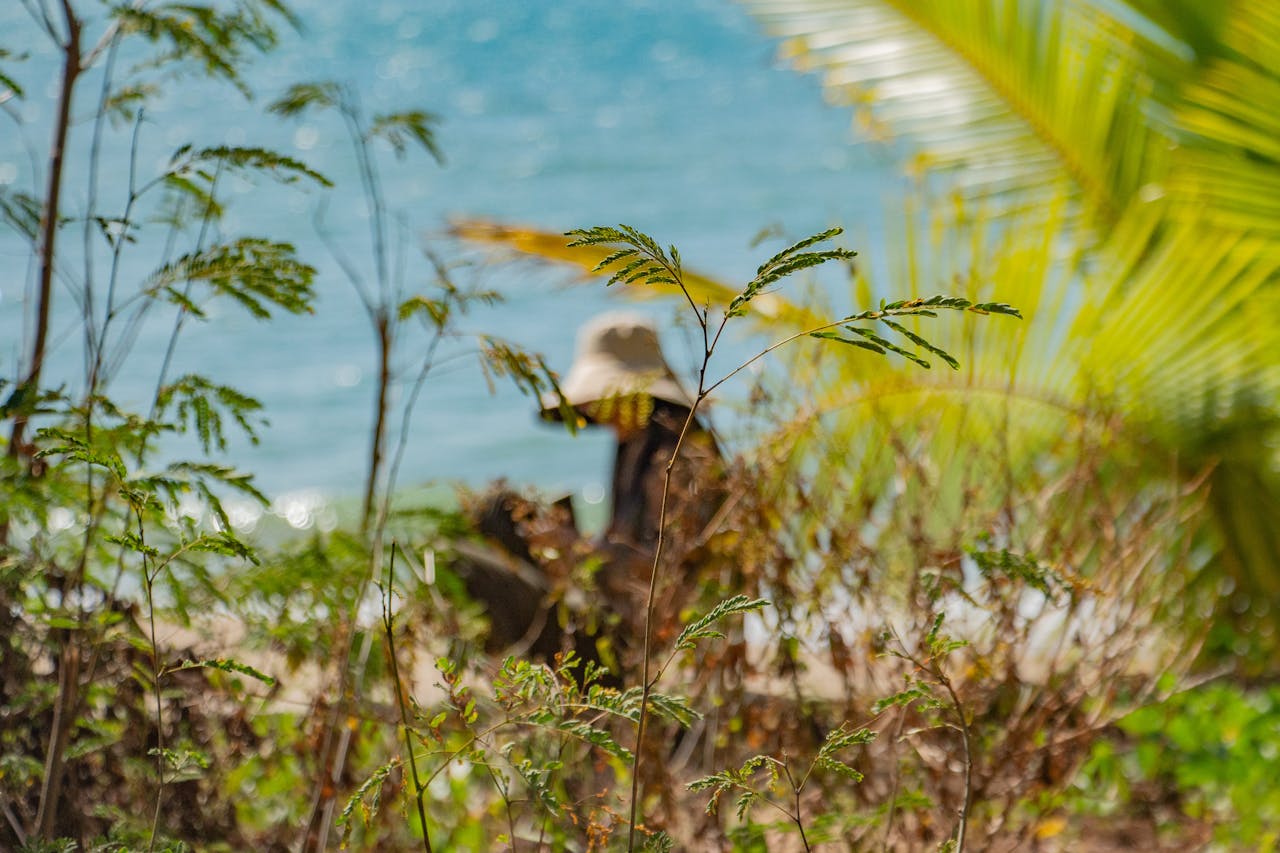 Silhouette of a person in tropical foliage by the ocean, evoking tranquility.